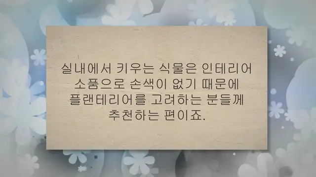 Video thumbnail for 관엽식물 종류 7가지 실내 인테리어 걱정 없어요