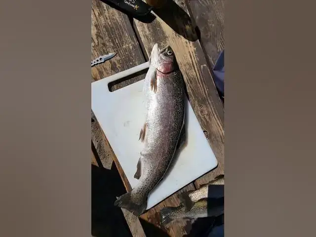 Video thumbnail for Big Catch of the Day #fishingtrips