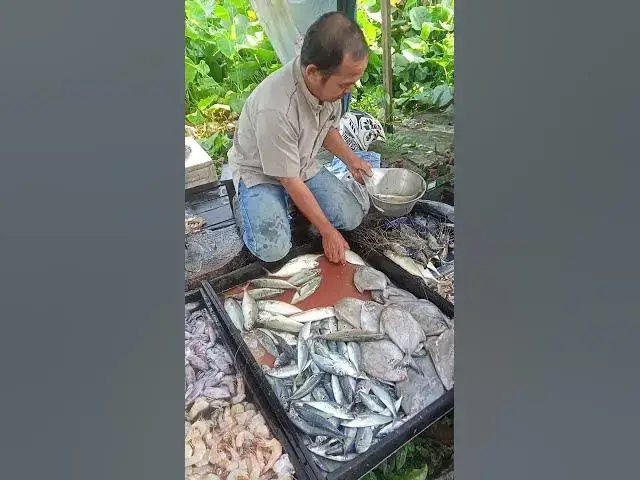 Video thumbnail for Beli Ikan Segar Murah di Pasar Tradisional!#shorts #shopping #youtubeshorts