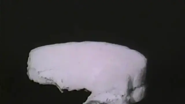 Video thumbnail for These Mouthwatering Once-Popular Sandwiches Have Basically Vanished