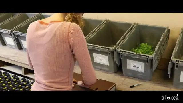 'Video thumbnail for How to Make Garlic Scape Goat Cheese Dip ¦ CSA Series ¦ Allrecipes.com (720p 24fps)'