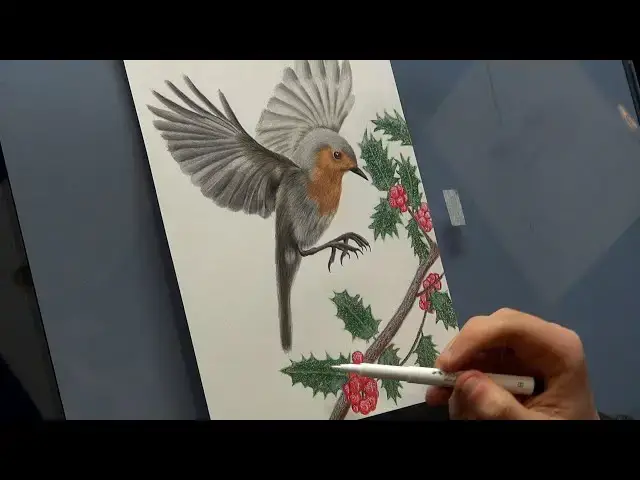 Video thumbnail for Christmas Robin Drawing with Holly (1 Minute Drawing Video)