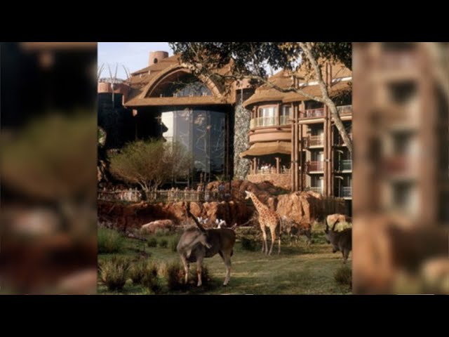 Video thumbnail for Disney's Animal Kingdom Lodge - DISNEY THIS DAY - April 16, 2001