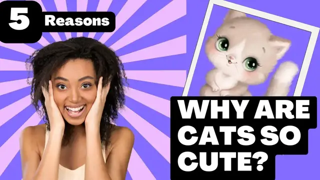 Video thumbnail for Why Are Cats So Cute?