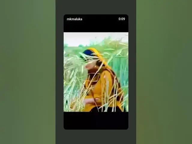 'Video thumbnail for March 19, 2025'