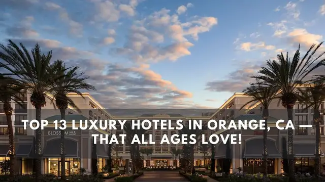 Video thumbnail for Luxury Defined: A Tour of Orange's Top-Rated Hotels and Resorts!