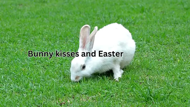 Video thumbnail for 200+ Hoppin' Cute Rabbit Captions for Instagram Make Your Posts Adorable!