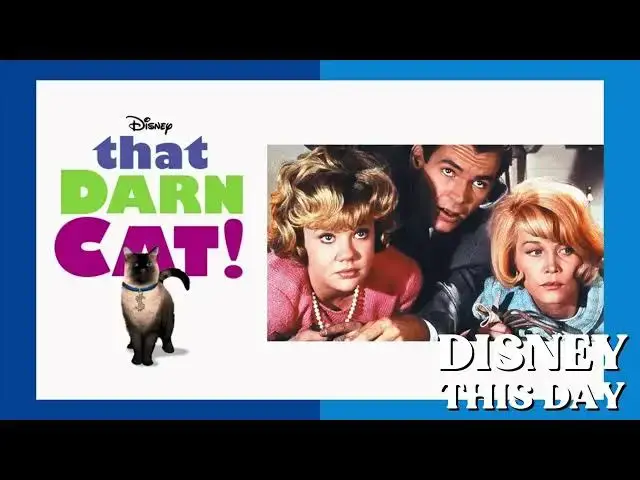 Video thumbnail for That Darn Cat | DISNEY THIS DAY | December 2, 1965