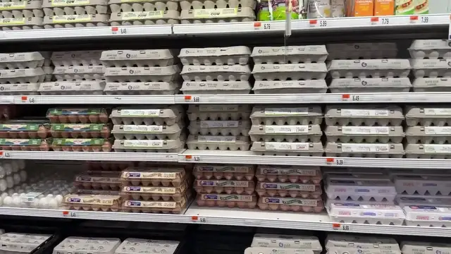 'Video thumbnail for the price of eggs is not the real problem... (720p 30fps)'