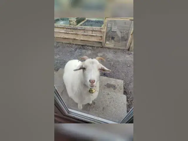 Video thumbnail for 23 July 2025