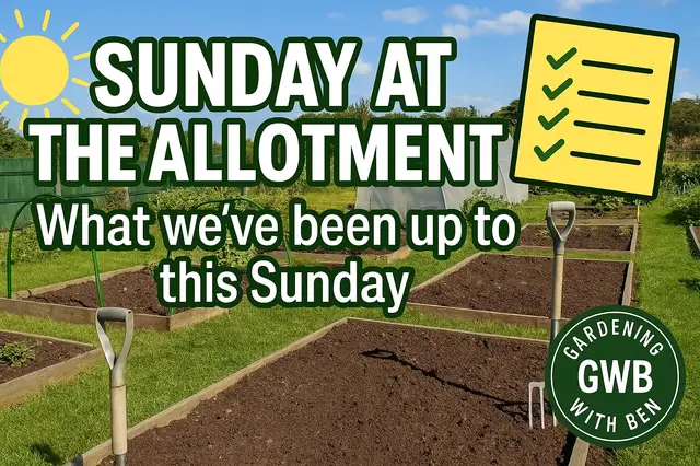 'Video thumbnail for ✅ What We’ve Been Up To This Sunday 🌱 | Allotment Garden Update 🌞'