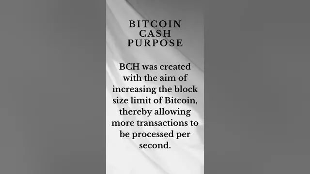 'Video thumbnail for What does Bitcoin Cash do?'