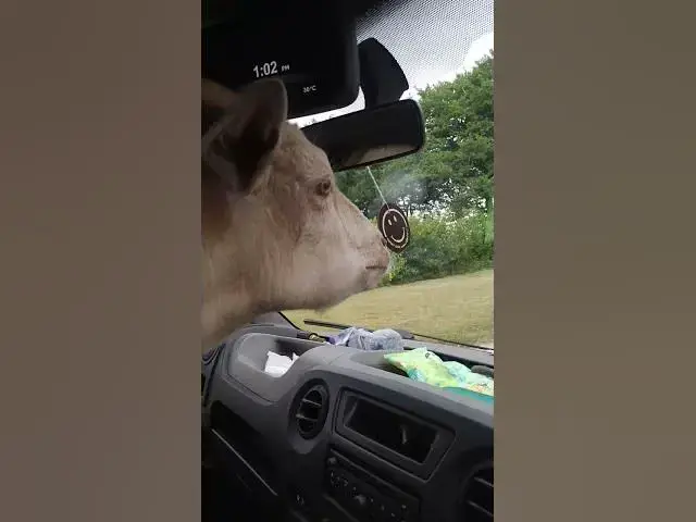 Video thumbnail for 13 July 2025