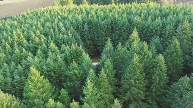 Video thumbnail for Daniel_Dae_Kim_s_Lost_Keepsake