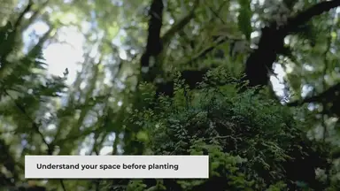 'Video thumbnail for Gardening Tips for Beginners: A Comprehensive Guide'