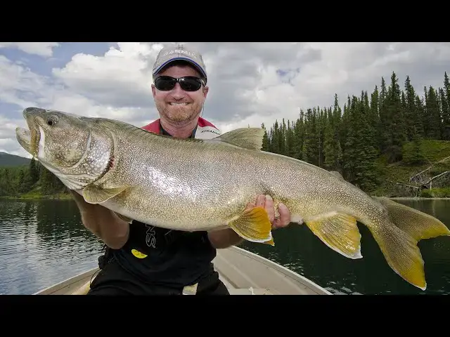 Video thumbnail for Catching Giant BC Lake Trout | Fish'n Canada