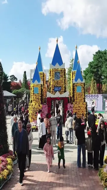 Video thumbnail for The Breathtaking Beauty of Daejeon Yuseong Chrysanthemum Festival 2025