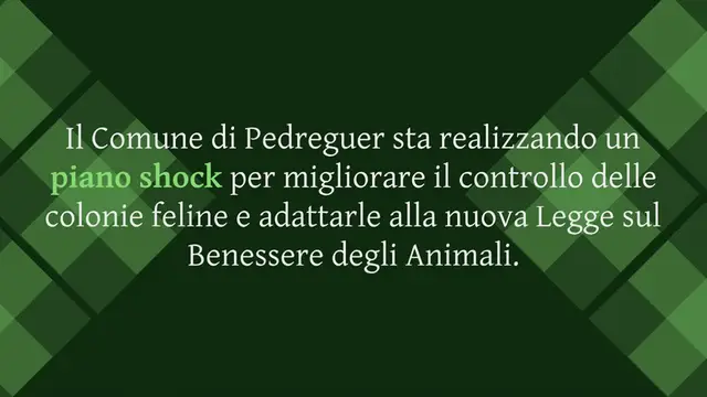 Video thumbnail for Pedreguer sterilizza il 62% dei gatti registrati nelle 26 colonie censite: