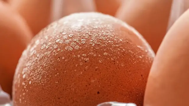 'Video thumbnail for Signs Eggs Are Not Safe To Eat'