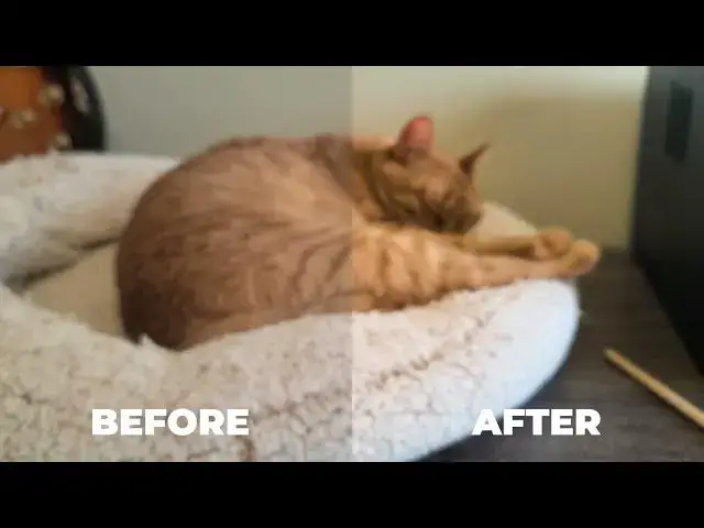 'Video thumbnail for How to Unblur a Video using Premiere Pro'