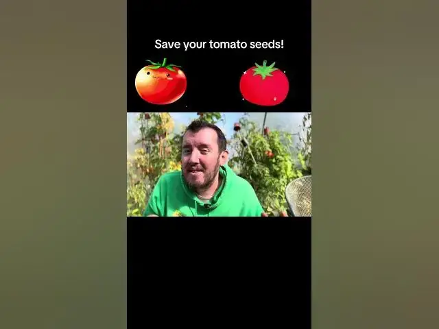 'Video thumbnail for 🍅 Save Your Tomato Seeds for Next Year | Easy Step-by-Step Guide to Grow Free Plants 🌿✨'