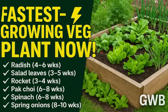 'Video thumbnail for ⚡ Fastest Growing Vegetables to Plant NOW | Quick Harvest Veg for Every Garden 🌱'