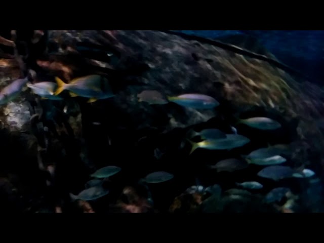 Video thumbnail for And ....(8)