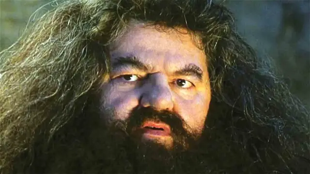 'Video thumbnail for The List Of Harry Potter Actor Deaths Is Tragically Long'