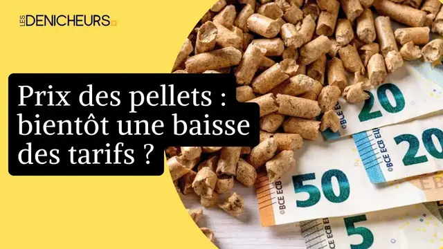 Video thumbnail for 💲 Prix des pellets : bientôt une baisse des tarifs ? 📉