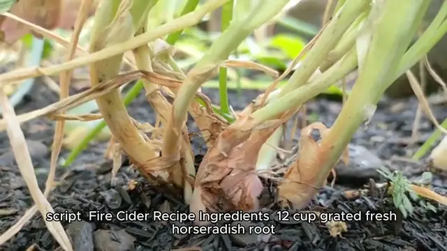 Video thumbnail for Fire Cider Recipe