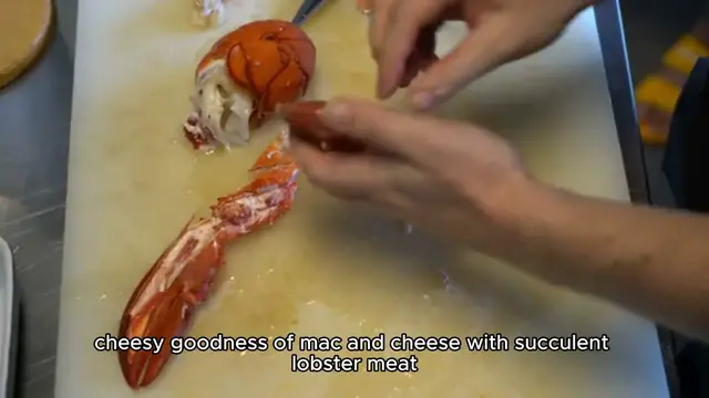 Video thumbnail for Lobster Mac and Cheese Recipe