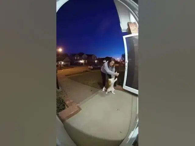 Video thumbnail for @channnelchatter-k9j