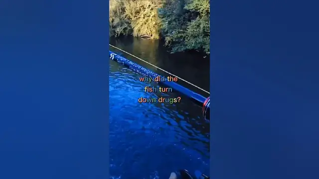 Video thumbnail for Fishing Joke 69 #jokes #fishingjokes #humor #joke