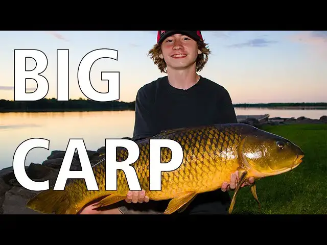 Video thumbnail for Family Carp Fishing | Fish'n Canada
