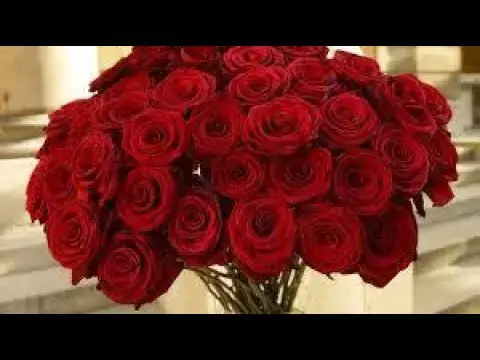 'Video thumbnail for القراءة النصية لكتاب سيبويه 2'