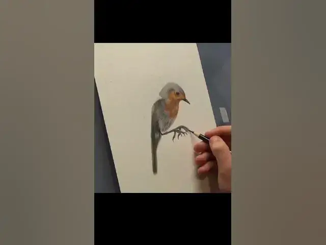 Video thumbnail for Robin With Holly Drawing #shorts