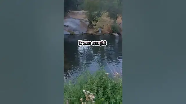 Video thumbnail for Fishing Joke 45 #jokes #fishingjokes #humor #joke