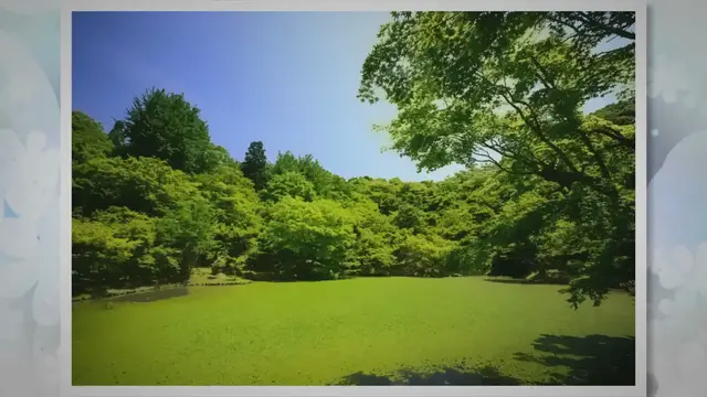 Video thumbnail for 21 BEST Ideas To Keep Cars Off Grass (Proven)