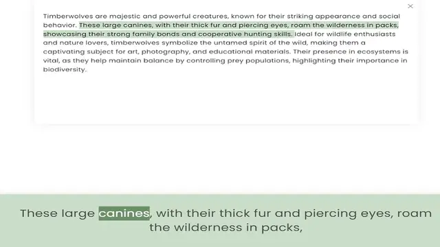 Video thumbnail for behavior. These large canines, with their thick fur and piercing eyes, roam the wilderness in packs, showcasing their strong family bonds and cooperative hunting skills. Ideal for wildlife enthusiasts and nature lovers, timberwolves symbo