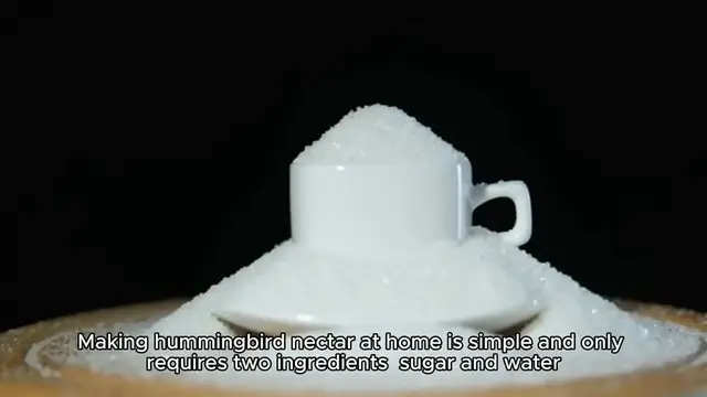 Video thumbnail for Hummingbird nectar recipe
