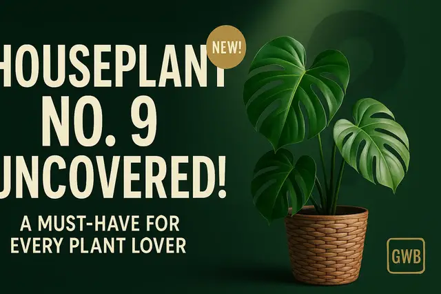 'Video thumbnail for 🪴 Houseplant Number 9 Uncovered! A Must-Have for Every Plant Lover'