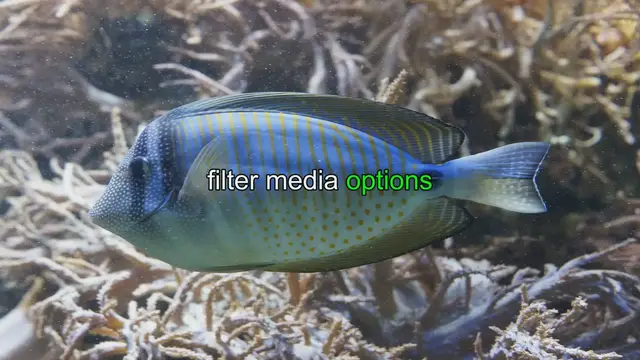 Video thumbnail for Simplified Aquarium Filter Media Options
