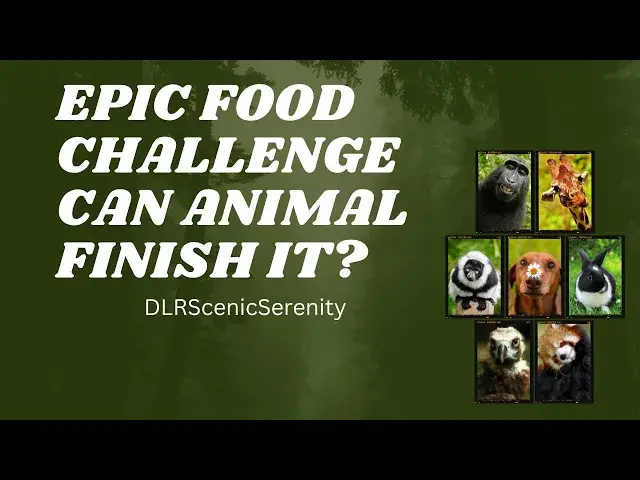 'Video thumbnail for animal sounds || animals || animals for kids || animal food'