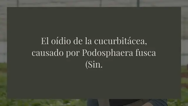 Video thumbnail for SQ6, Protector de Cucurbitáceas