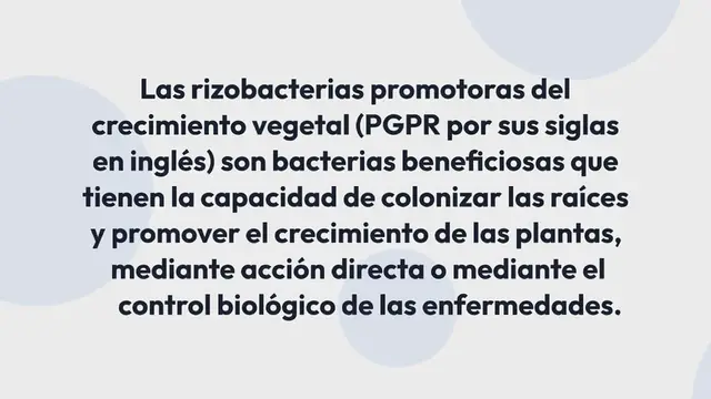 Video thumbnail for Las Bacterias del Futuro