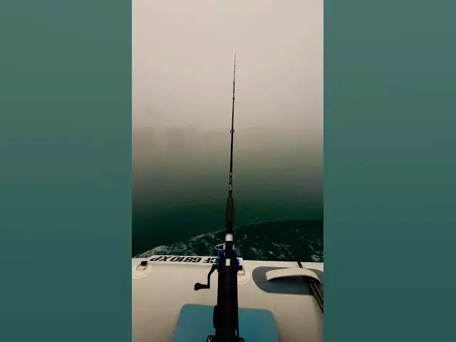 Video thumbnail for Fishing in the Fog #Longbeachfishing