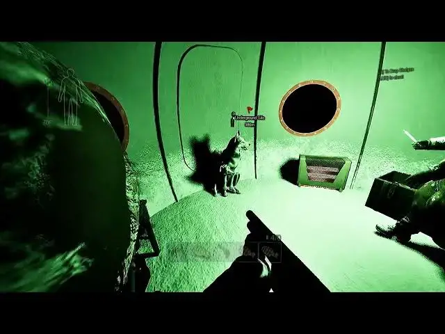 'Video thumbnail for THE THINGY'
