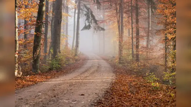 Video thumbnail for 30 Minute Meditation Music, Relaxing Music, Calming Music, Stress Relief Music, Sleep Music