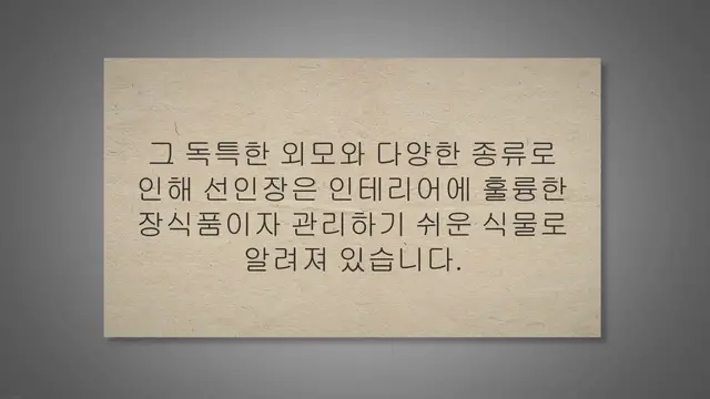 'Video thumbnail for 선인장 통통하게 키우기 위한 13가지 팁'