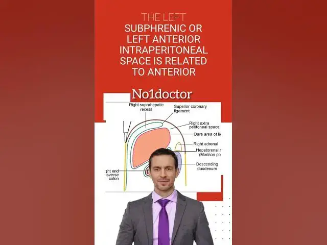 Video thumbnail for Subphrenic Spaces #shorts #subphrenic_spaces #diaphragm #liver #kidney #Morrison #space #no1doctor